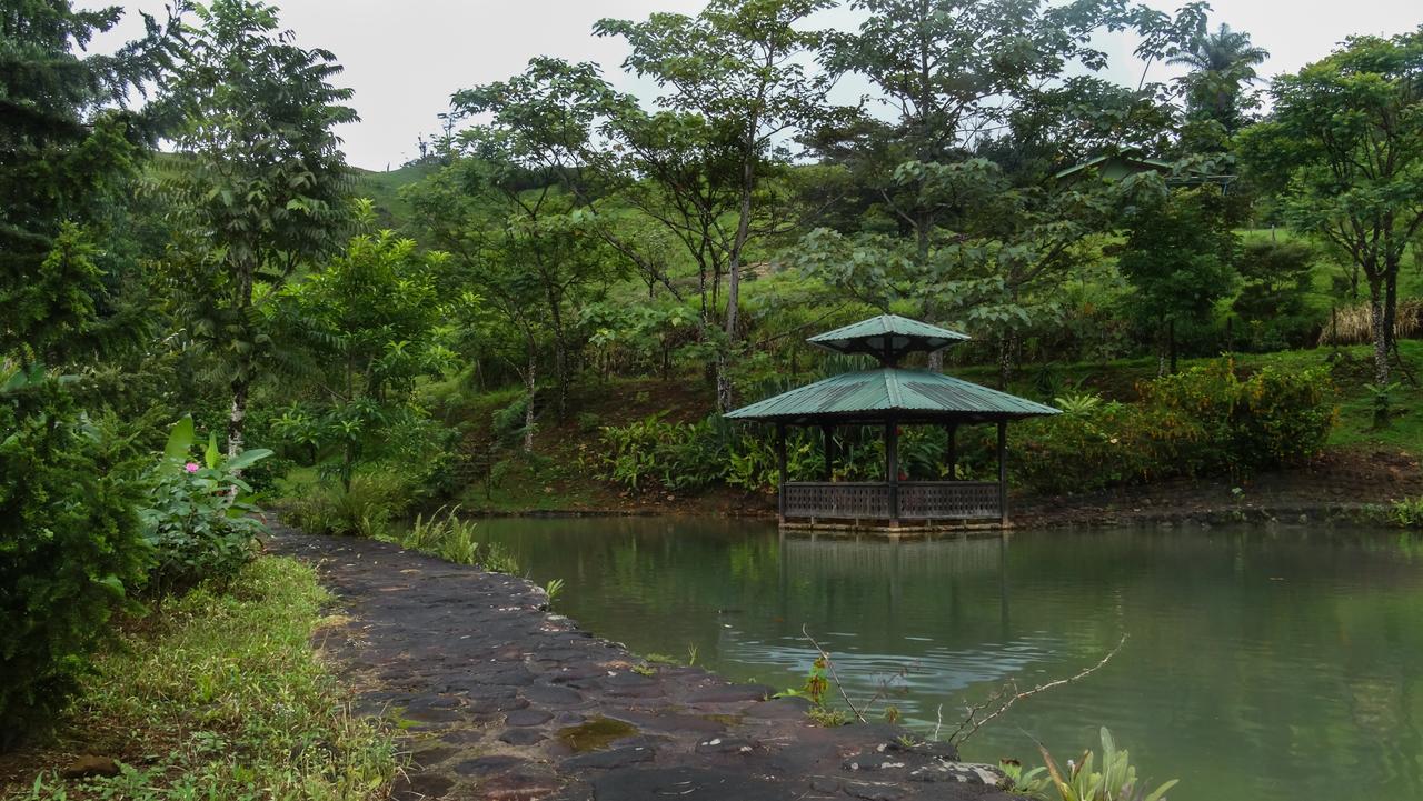 Malekus Mountain Lodge Aguas Claras  Eksteriør bilde