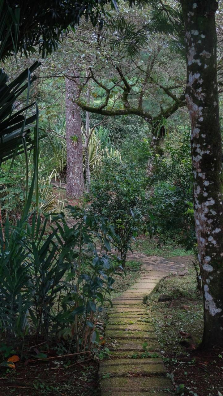 Malekus Mountain Lodge Aguas Claras  Eksteriør bilde
